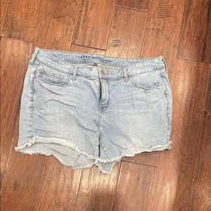 Torrid Light Wash Jean Shorts